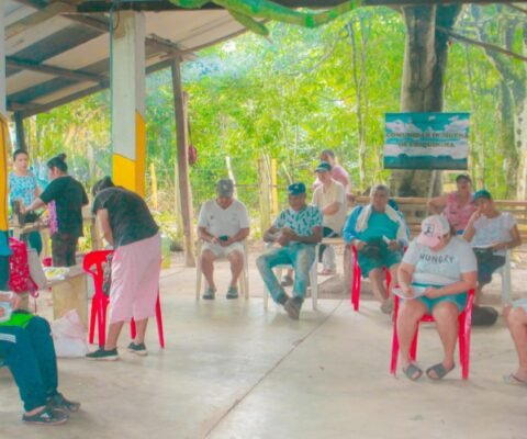 Actividad de encuesta