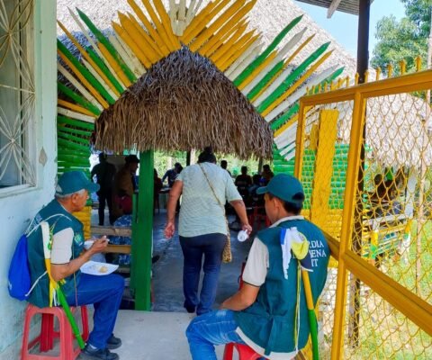 Guardia indígena