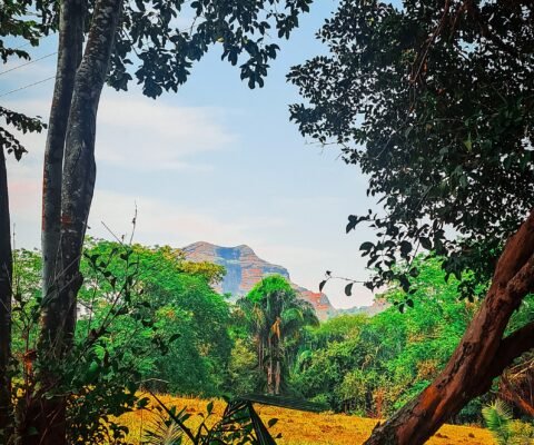 cerro abechucos