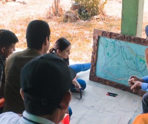 Cartografía